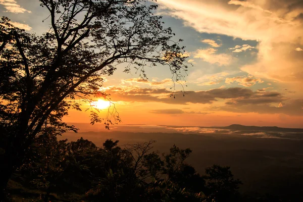 Wunderschöner Wintersonnenuntergang in der Natur — Stockfoto