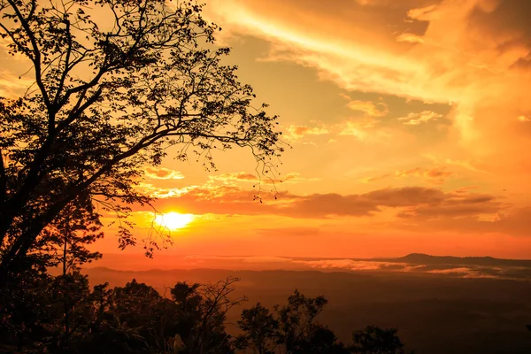 Smuk vintersolnedgang i naturen - Stock-foto