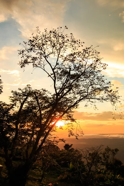 Wunderschöner Wintersonnenuntergang in der Natur — Stockfoto