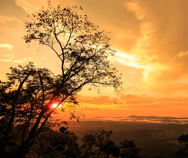 Zonsondergang in de prachtige winter in de natuur — Stockfoto