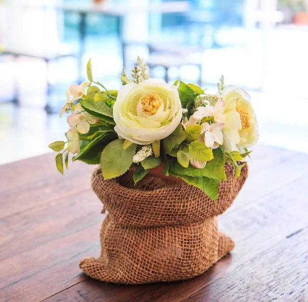 Zierblumen — Stockfoto