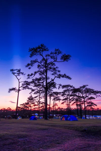 Paisaje de invierno al atardecer en el Parque Nacional Phukradung —  Fotos de Stock