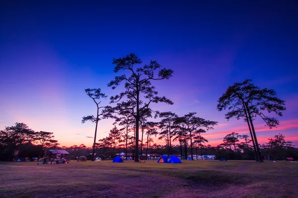 Winter Sunset landscape at Phukradung National Park — Stock Photo, Image