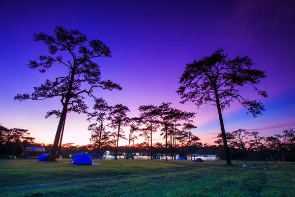 Zonsondergang in de winter landschap in Phukradung Nationaal Park — Stockfoto