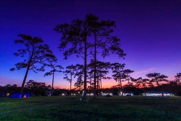 Paisaje de invierno al atardecer en el Parque Nacional Phukradung — Foto de Stock