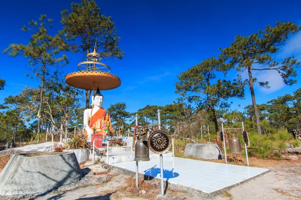 Buddha v phu kradueng národní park — Stock fotografie