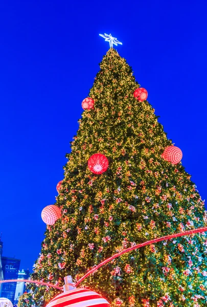 A iluminação da árvore de Natal — Fotografia de Stock