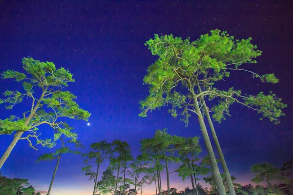 Sky with stars in night — Stock Photo, Image