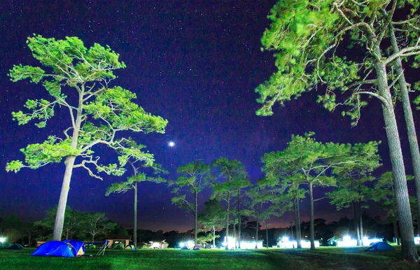 Himmel mit Sternen in der Nacht — Stockfoto