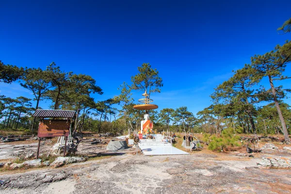 Buddha in Phu Kradueng National Park — Stock Photo, Image