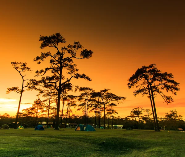 Inverno pôr do sol paisagem — Fotografia de Stock