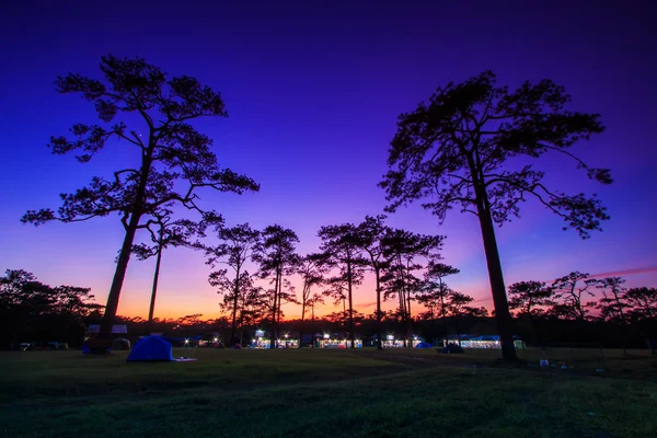 Inverno pôr do sol paisagem — Fotografia de Stock