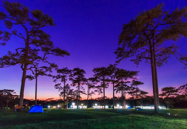 Solnedgång vinterlandskap — Stockfoto