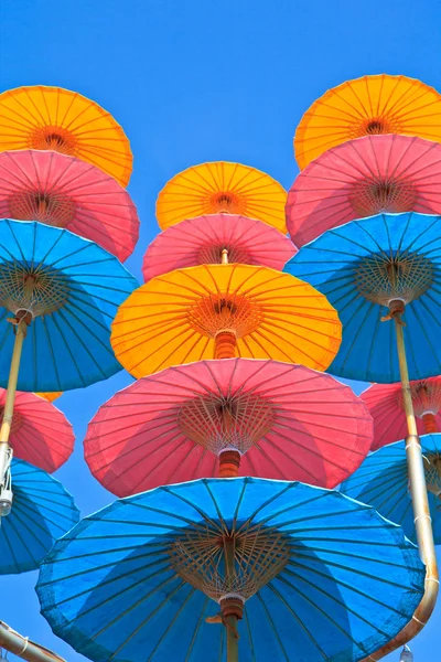 Ázsiai esernyő — Stock Fotó