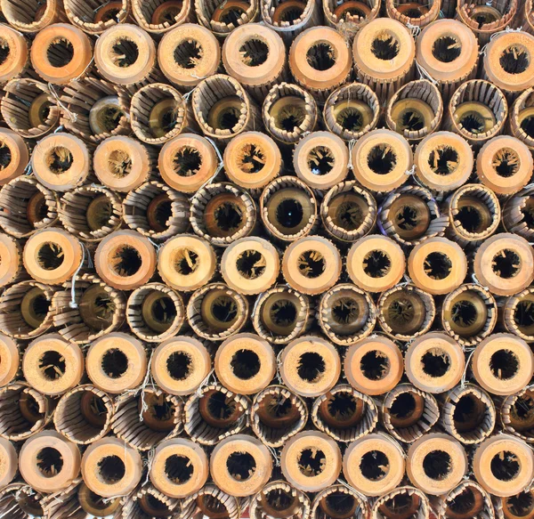 Guarda-chuva de bambu — Fotografia de Stock