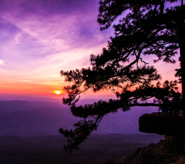 प्रकृति में चट्टान पर सुंदर शीतकालीन सूर्यास्त — स्टॉक फ़ोटो, इमेज