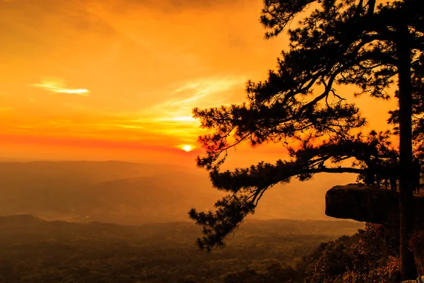 Wunderschöner Wintersonnenuntergang an einer Klippe in der Natur — Stockfoto