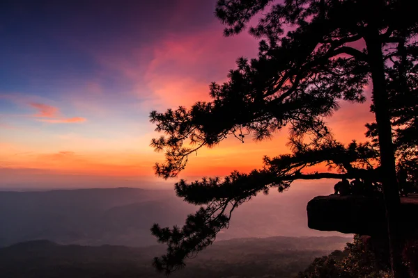 प्रकृति में चट्टान पर सुंदर शीतकालीन सूर्यास्त — स्टॉक फ़ोटो, इमेज
