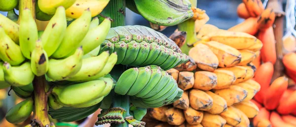 O grămadă de banane coapte — Fotografie, imagine de stoc