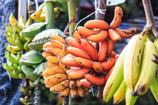 Bunch of ripe bananas — Stock Photo, Image