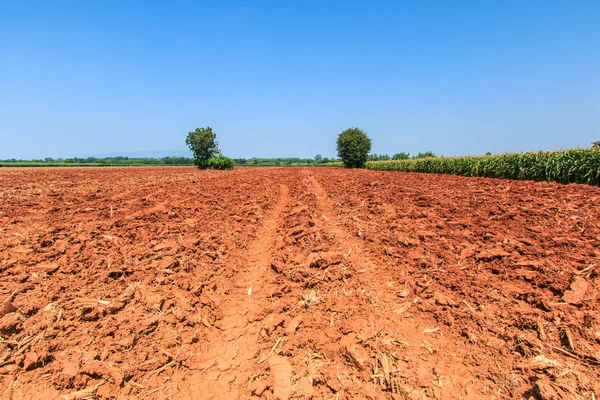 Terreno com preparação do solo — Fotografia de Stock