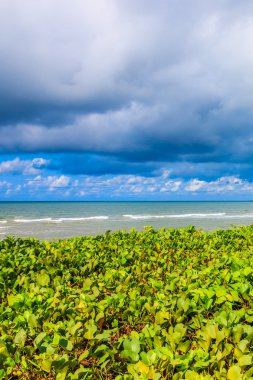 Güneşli bir gün deniz kum plaj