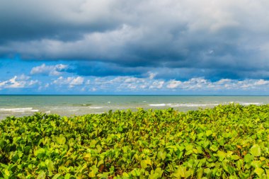 Güneşli bir gün deniz kum plaj