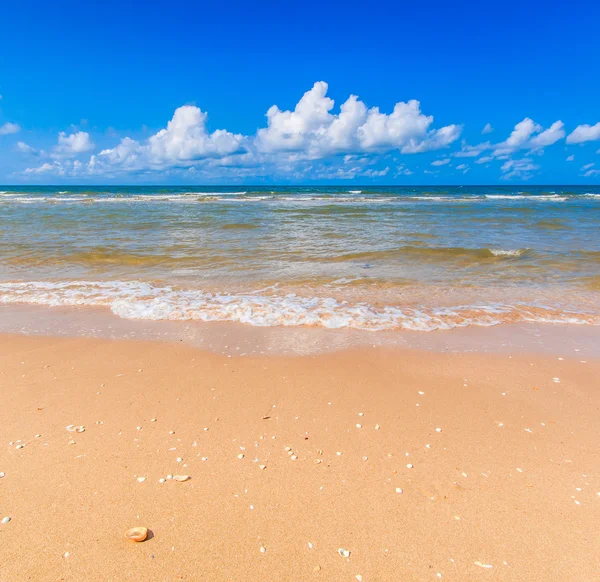 Spiaggia di sabbia marina in giornata di sole — Foto Stock