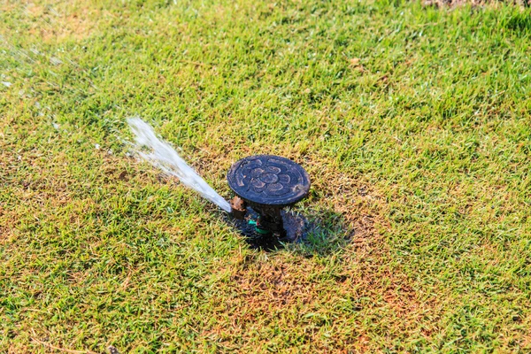 Sprinkler system in a farm field grass — Stock Photo, Image