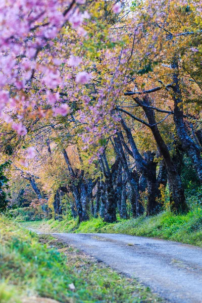 Cuatro estaciones en la misma calle. — Foto de stock © Hannamariah