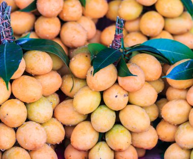 Mayongchid Maprang Marian Erik ve Erik Mango