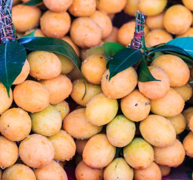 Mayongchid Maprang Marian Erik ve Erik Mango