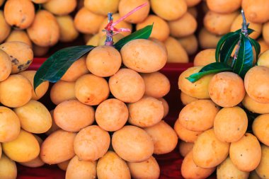 Mayongchid Maprang Marian Erik ve Erik Mango