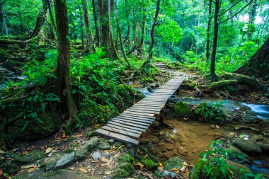 Ahşap köprü şelale üzerinde