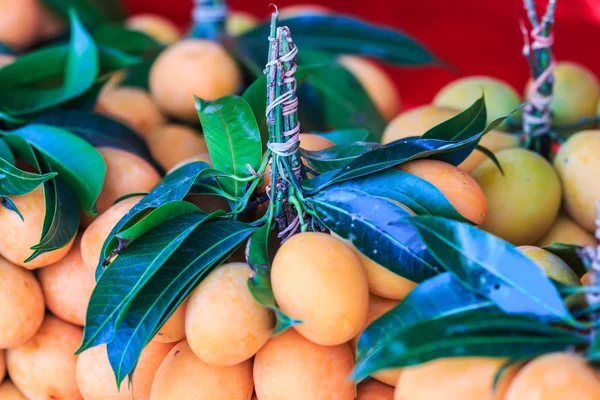 Mayongchid Růžena Marian švestka a Plum Mango — Stock fotografie