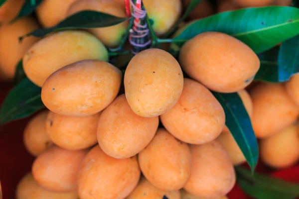 Mayongchid Maprang Marian Plum e Plum Mango — Foto Stock