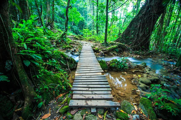 Wood bridge over the waterfall — Stock Photo, Image