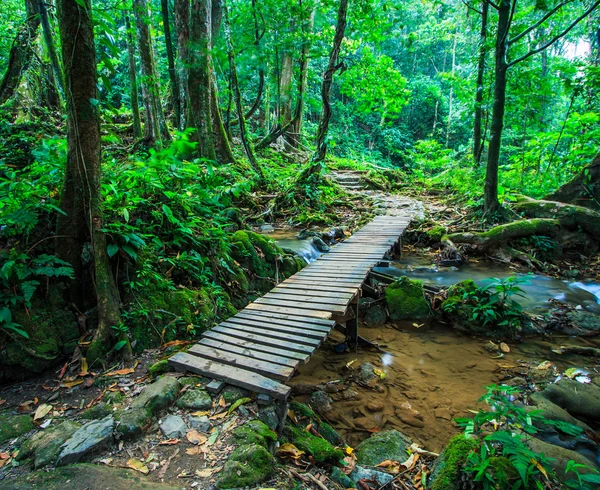 Ponte di legno sulla cascata — Foto Stock