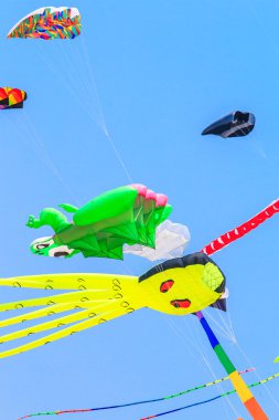 Çok renkli uçurtma kuyruğu ile