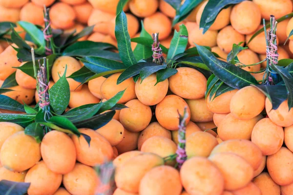 Mayongchid Růžena Marian švestka a Plum Mango — Stock fotografie