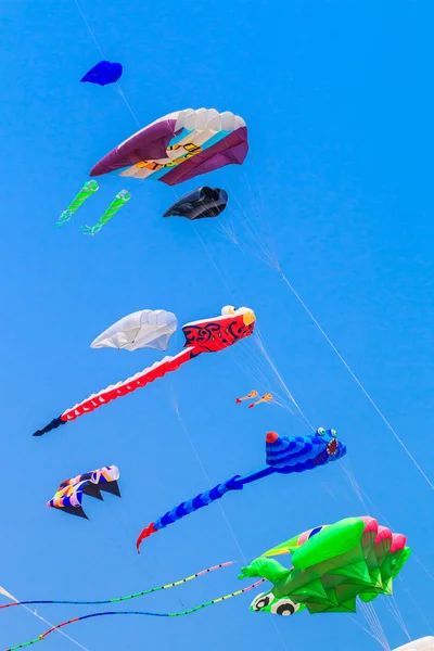 Veelkleurige kite met staart — Stockfoto