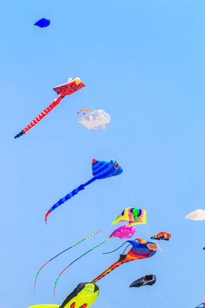 Wielobarwny latawca z ogonem — Zdjęcie stockowe