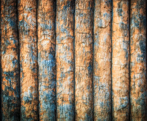 Фон дерева — стоковое фото