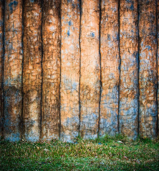 Tło drzewa — Zdjęcie stockowe