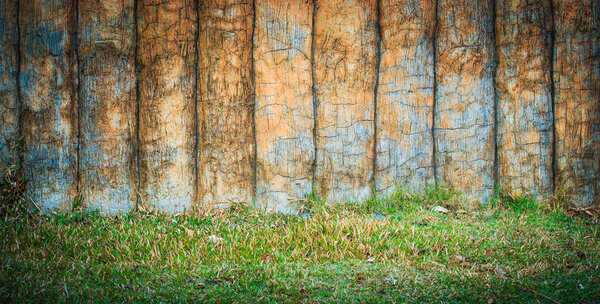 Old cement wall into a tree background