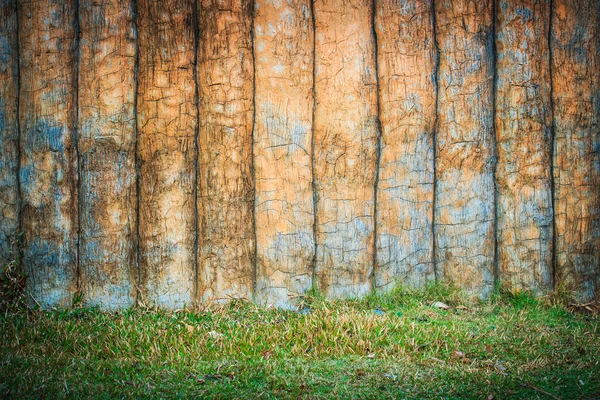 Fondo del árbol — Foto de Stock