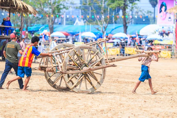 143º Festival de carreras de vacas — Foto de Stock