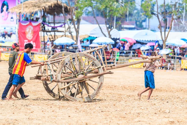 143a edizione del Cow Racing Festival — Foto Stock