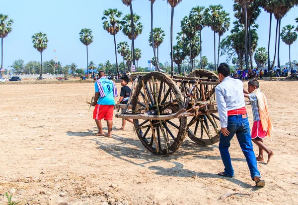 143º Festival de carreras de vacas — Foto de Stock