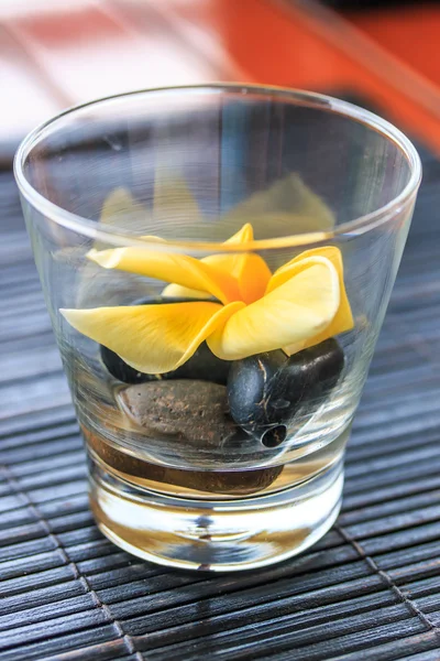 Plumeria in the glass — Stock Photo, Image